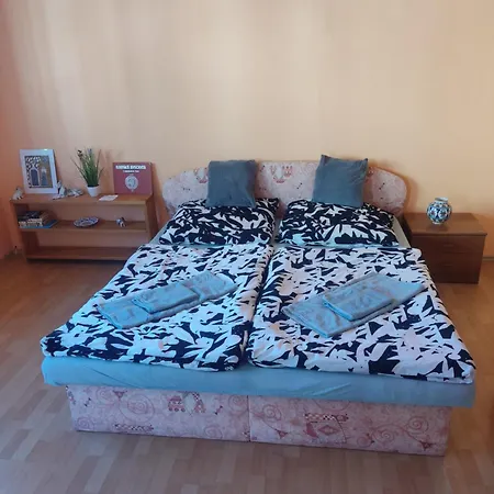 Jednoizbovy V Centre Banskej Bystrice Appartamento Banská Bystrica